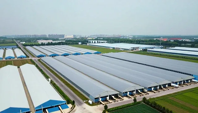 健康管理服务模式下的性能与适用条件分析